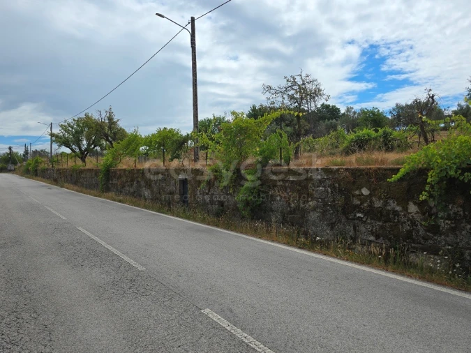 Quinta para Venda em Santa Ovaia e Vila Pouca da Beira Foto 18