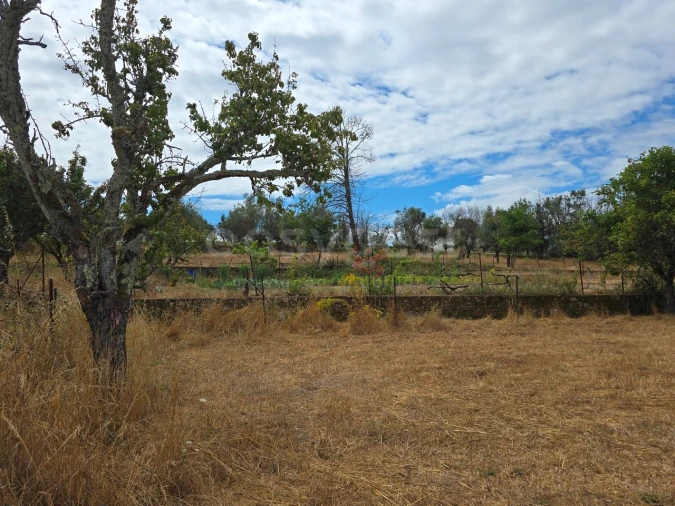 Quinta para Venda em Santa Ovaia e Vila Pouca da Beira Foto 20