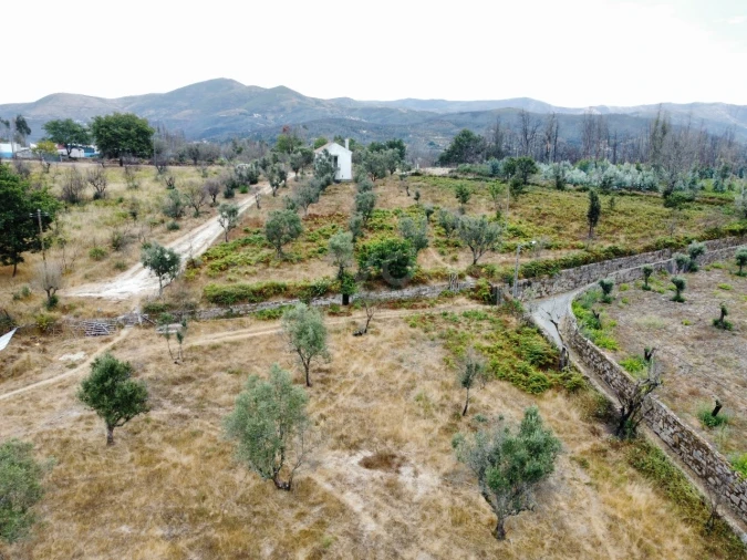Quinta para Venda em Santa Ovaia e Vila Pouca da Beira Foto 26