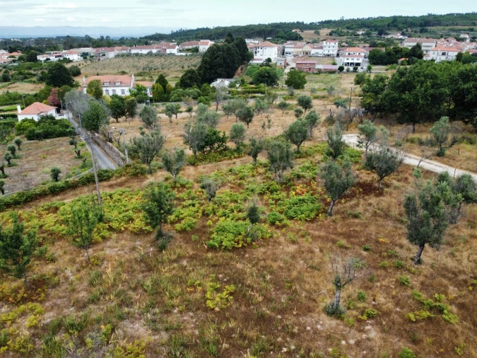 Quinta para Venda em Santa Ovaia e Vila Pouca da Beira Foto 30