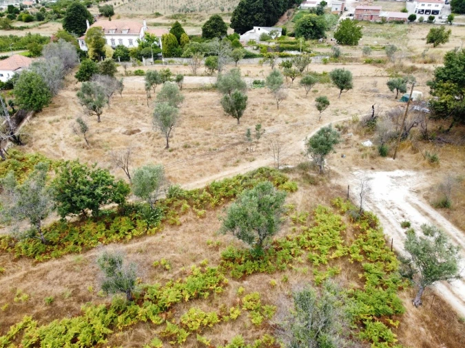 Quinta para Venda em Santa Ovaia e Vila Pouca da Beira Foto 31