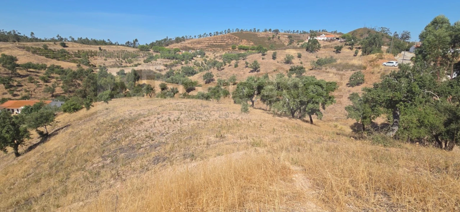 Quinta T3 para Venda em Silves Foto 14