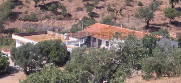 Quinta T3 para Venda em Silves