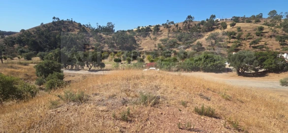Quinta T3 para Venda em Silves