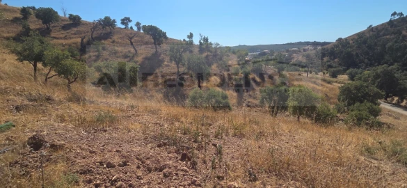 Quinta T3 para Venda em Silves