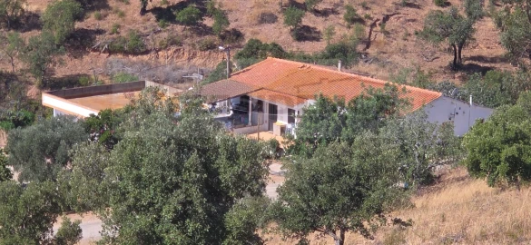 Quinta T3 para Venda em Silves