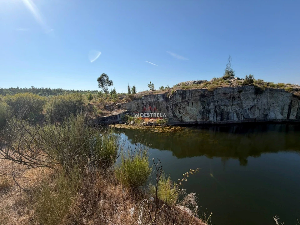 Terreno Agricola ou Rústico para Venda em Paranhos Foto 3