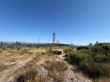 Terreno Agricola ou Rústico para Venda em Paranhos