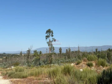 Terreno Agricola ou Rústico para Venda em Paranhos