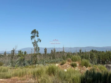 Terreno Agricola ou Rústico para Venda em Paranhos