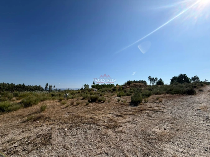 Terreno Agricola ou Rústico para Venda em Paranhos Foto 10