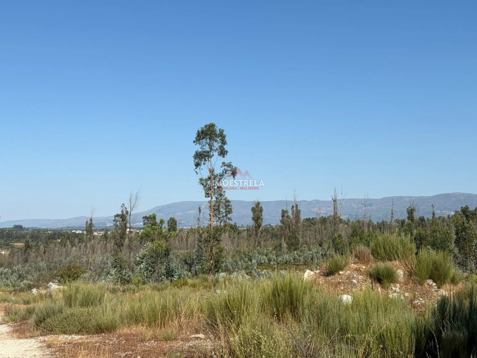 Terreno Agricola ou Rústico para Venda em Paranhos Foto 8