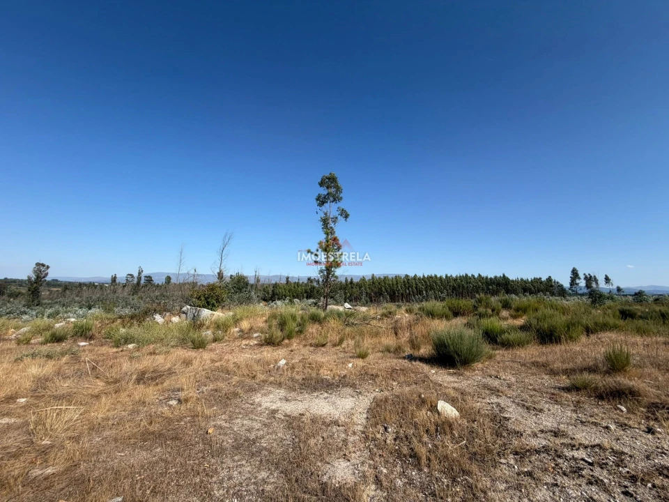 Terreno Agricola ou Rústico para Venda em Paranhos Foto 14