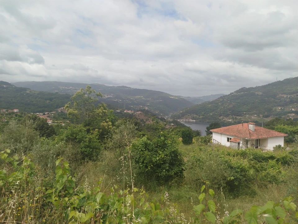 Quinta T0 para Venda em Espadanedo Foto 10