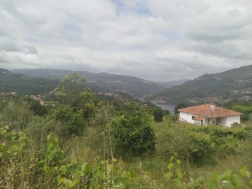 Quinta T0 para Venda em Espadanedo