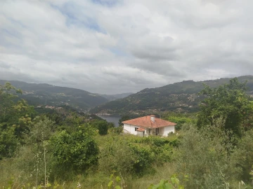 Quinta T0 para Venda em Espadanedo