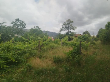 Quinta T0 para Venda em Espadanedo