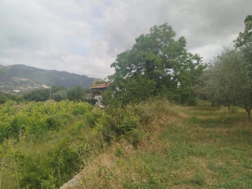 Quinta T0 para Venda em Espadanedo