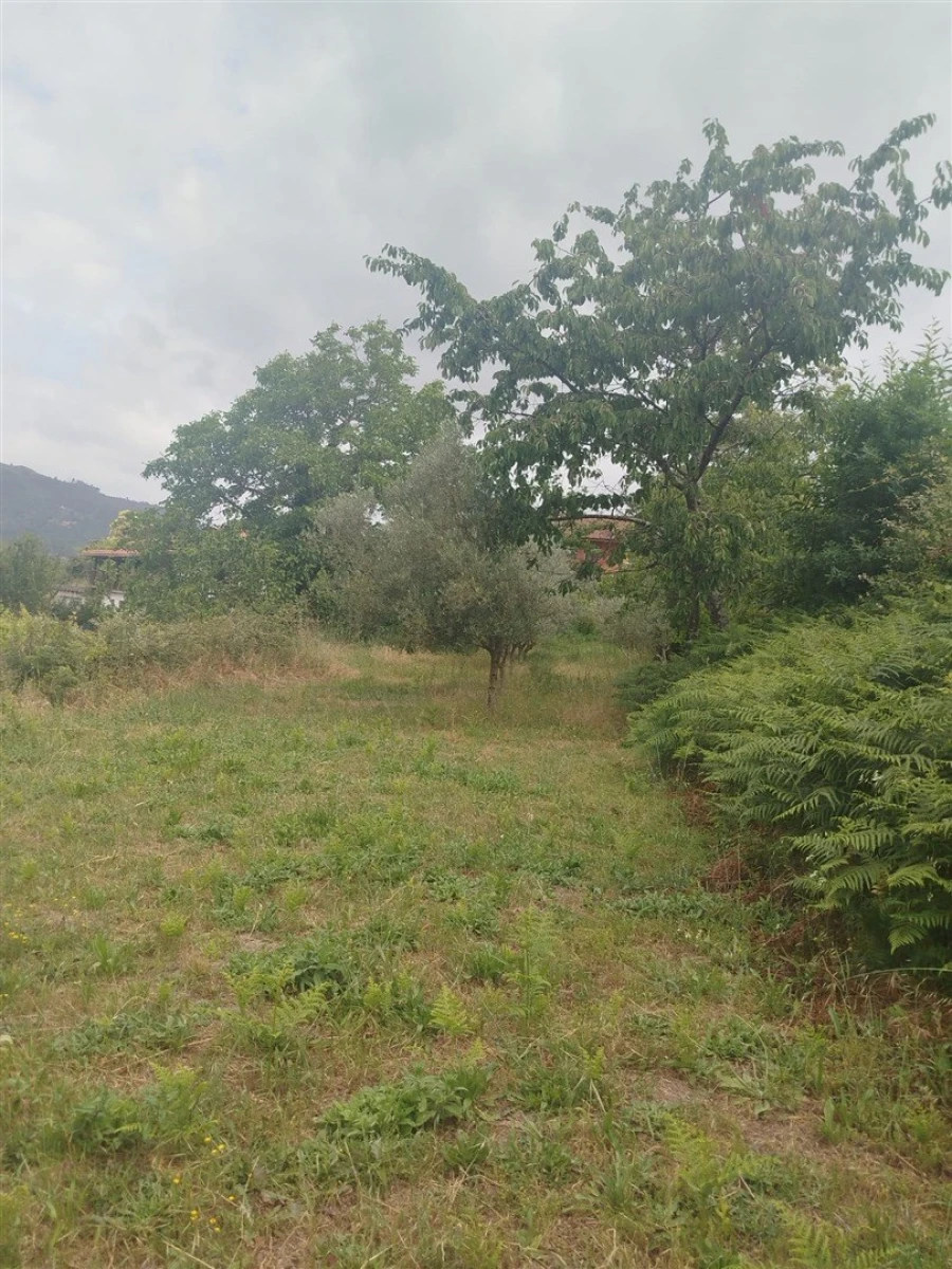 Quinta T0 para Venda em Espadanedo Foto 7