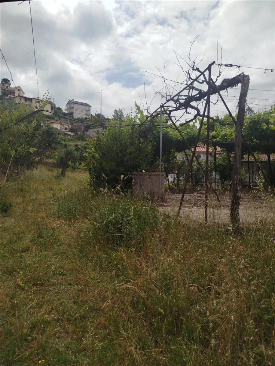 Quinta T0 para Venda em Espadanedo Foto 12