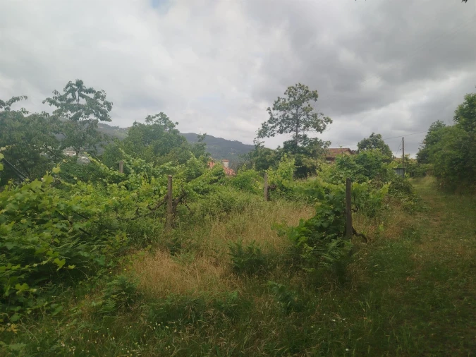 Quinta T0 para Venda em Espadanedo Foto 9