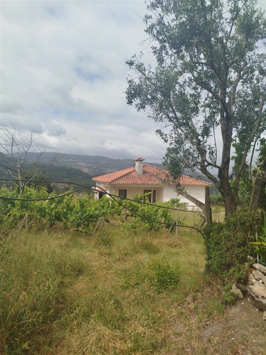 Quinta T0 para Venda em Espadanedo Foto 13