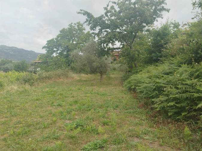 Quinta T0 para Venda em Espadanedo Foto 8