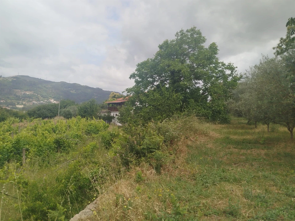 Quinta T0 para Venda em Espadanedo Foto 6