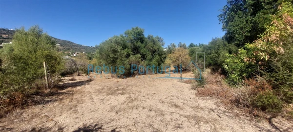 Moradia T4 para Venda em Santa Barbara de Nexe