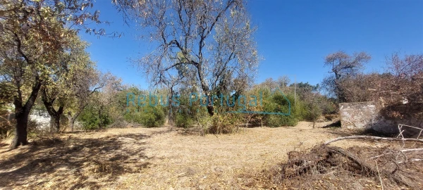 Moradia T4 para Venda em Santa Barbara de Nexe