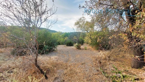 Moradia T4 para Venda em Santa Barbara de Nexe