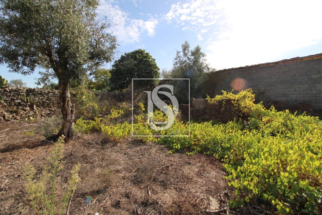 Moradia T6 para Venda em Tondela e Nandufe Foto 24