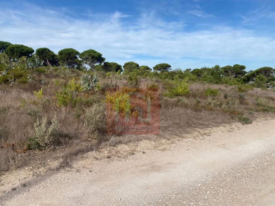 Terreno para Venda em Sesimbra (Castelo) Foto 2