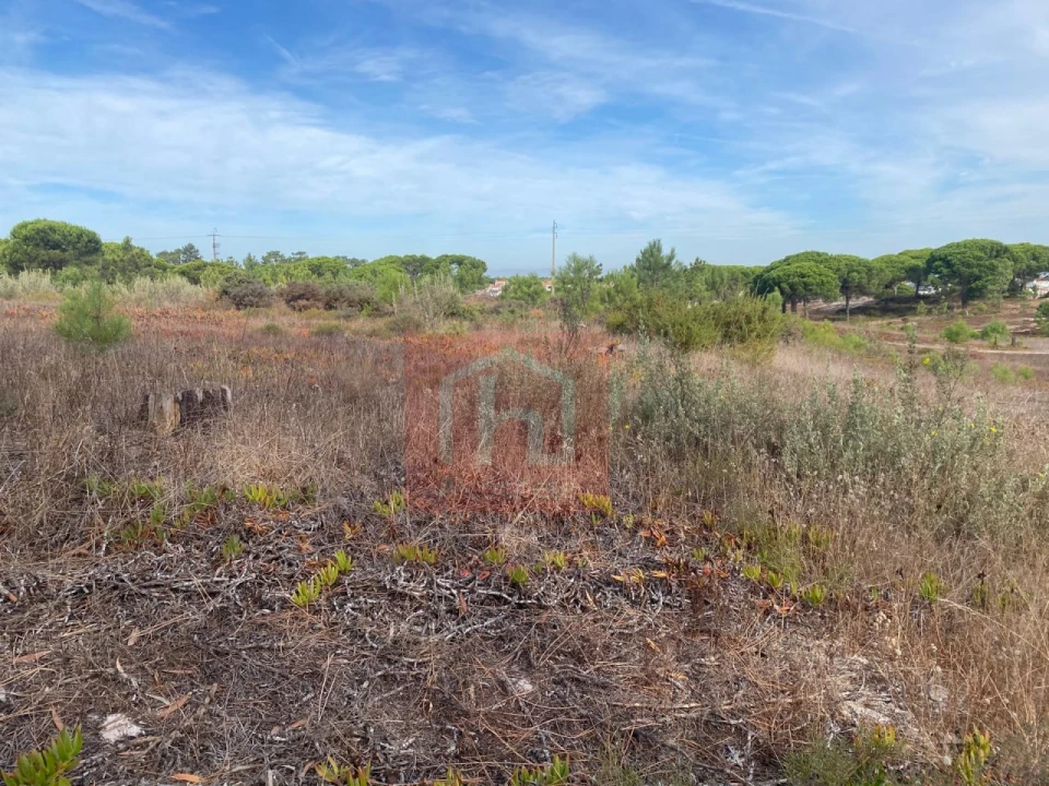 Terreno para Venda em Sesimbra (Castelo) Foto 4