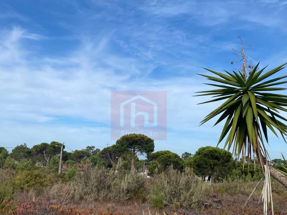 Terreno para Venda em Sesimbra (Castelo) Foto 8