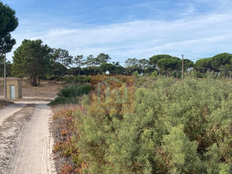 Terreno para Venda em Sesimbra (Castelo) Foto 9