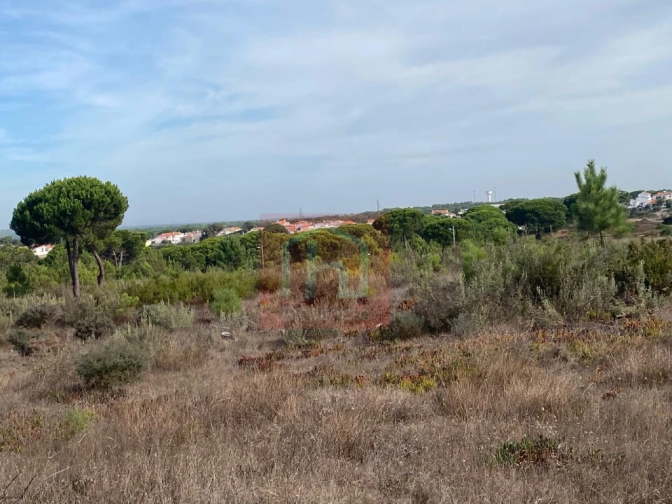 Terreno para Venda em Sesimbra (Castelo) Foto 11