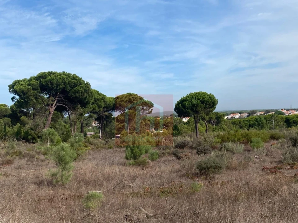 Terreno para Venda em Sesimbra (Castelo) Foto 12