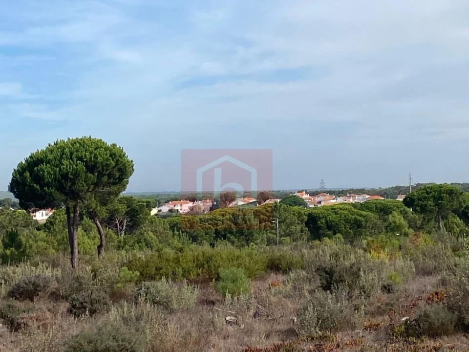 Terreno para Venda em Sesimbra (Castelo) Foto 14