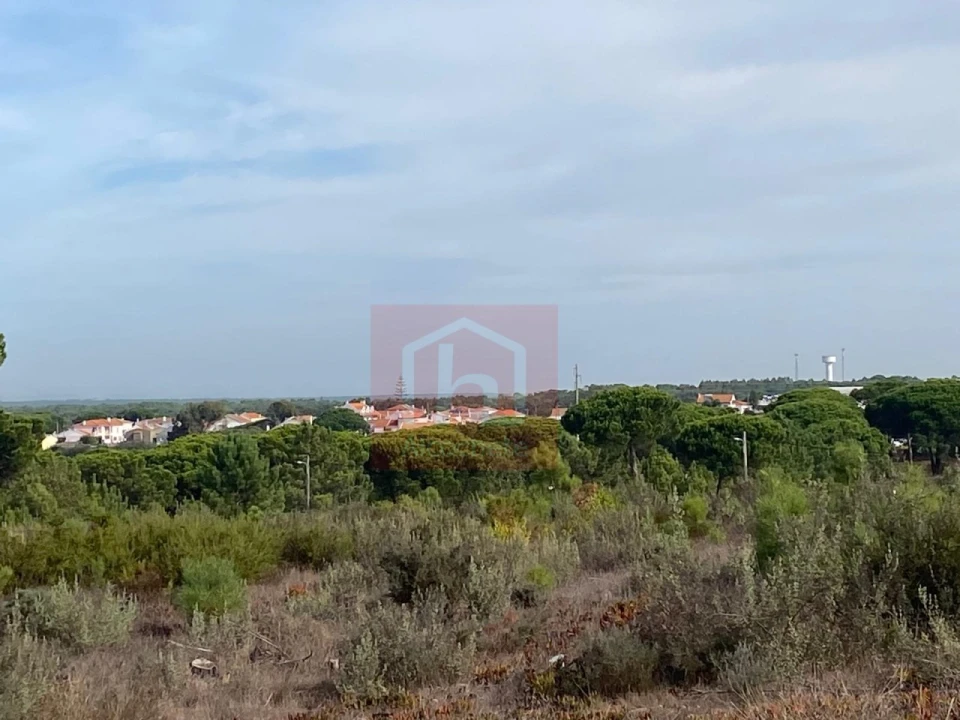 Terreno para Venda em Sesimbra (Castelo) Foto 15