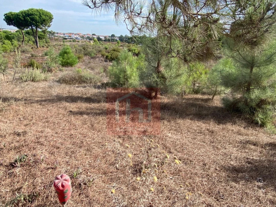 Terreno para Venda em Sesimbra (Castelo) Foto 18