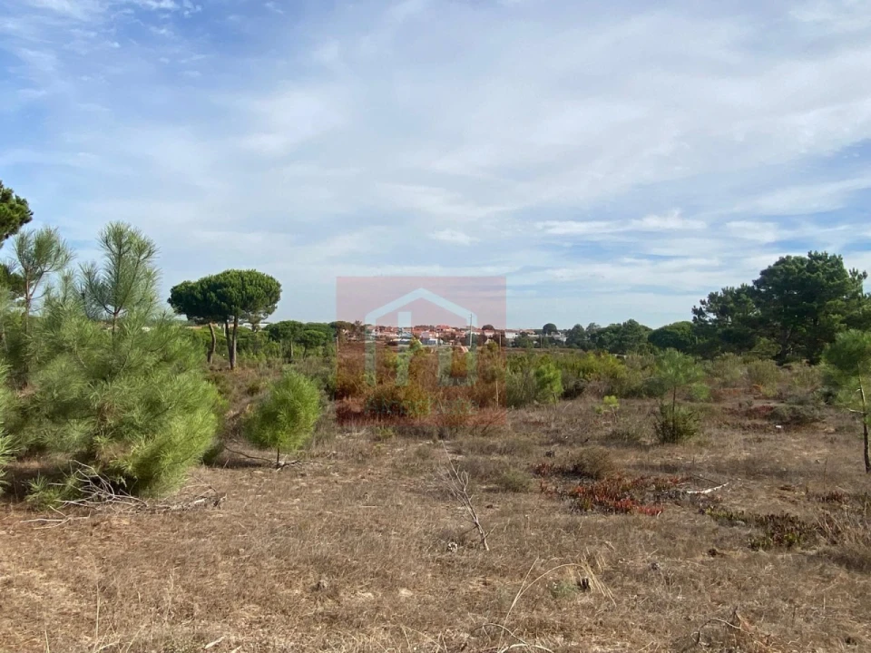 Terreno para Venda em Sesimbra (Castelo) Foto 19