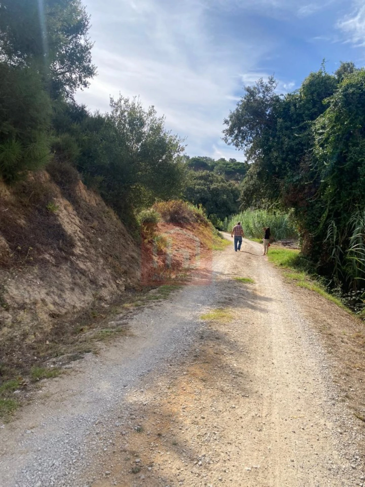 Terreno para Venda em Sesimbra (Castelo) Foto 22