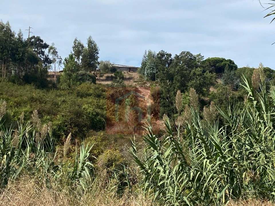 Terreno para Venda em Sesimbra (Castelo) Foto 24