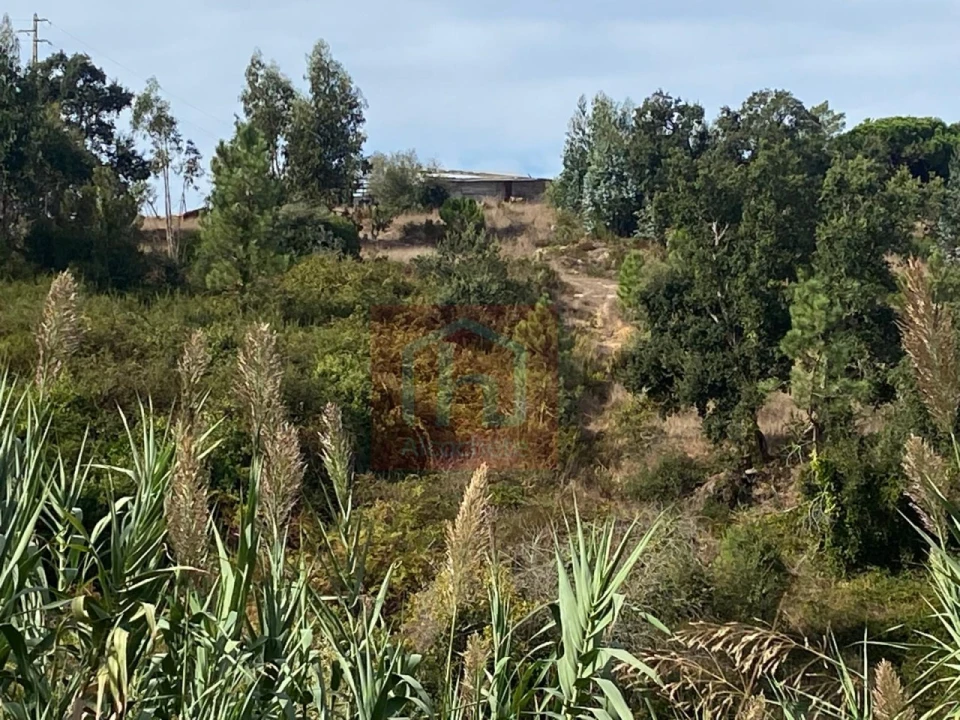 Terreno para Venda em Sesimbra (Castelo) Foto 26