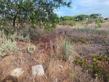 Terreno para Venda em Sesimbra (Castelo)