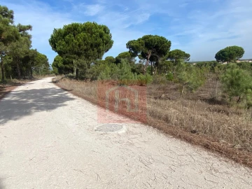 Terreno para Venda em Sesimbra (Castelo)