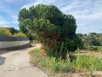 Terreno para Venda em Sesimbra (Castelo)
