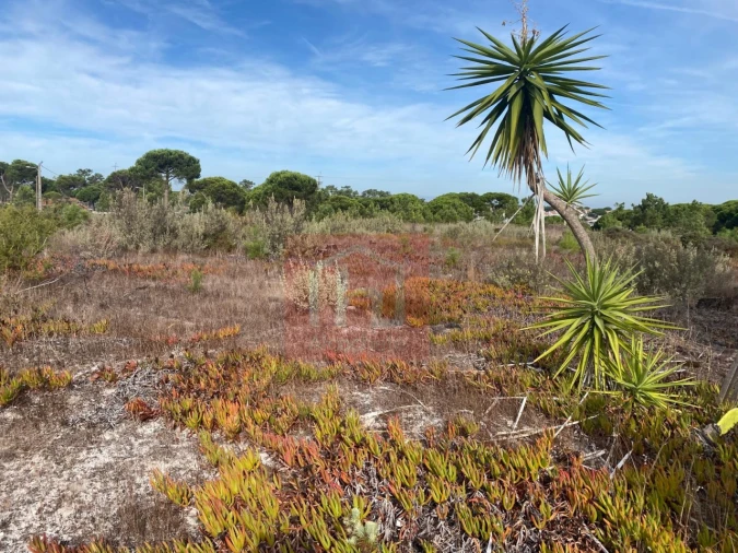 Terreno para Venda em Sesimbra (Castelo) Foto 3