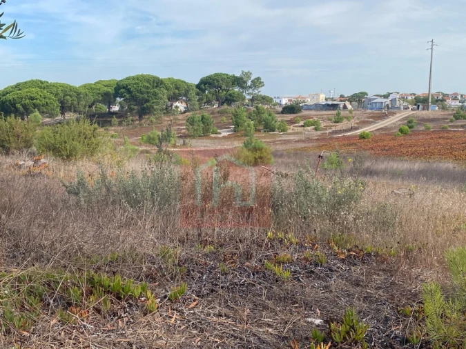 Terreno para Venda em Sesimbra (Castelo) Foto 7